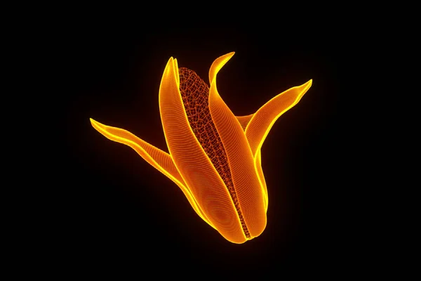 Corn in Hologram Wireframe Style. Nice 3D Rendering — Stock Photo, Image