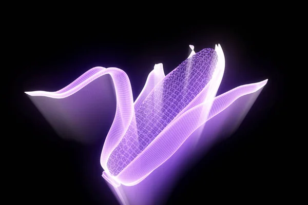 Milho em holograma Wireframe Style. Boa renderização 3D — Fotografia de Stock