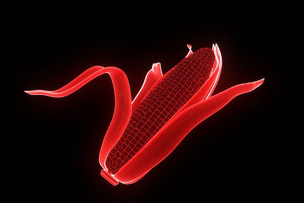 Kukuřice ve stylu drátového modelu Hologram. Pěkný 3d vykreslování — Stock fotografie