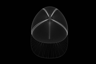 Tel Çerçeve hologramı tarzı 3D şapka kap. Güzel 3d render