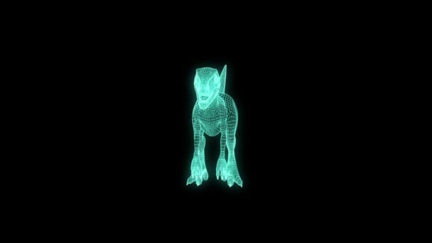 Raptor en Holograma Wireframe Style. Niza 3D Rendering — Vídeos de Stock