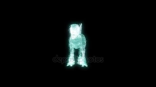 Raptor en Hologramme Wireframe Style. Belle rendu 3D — Video