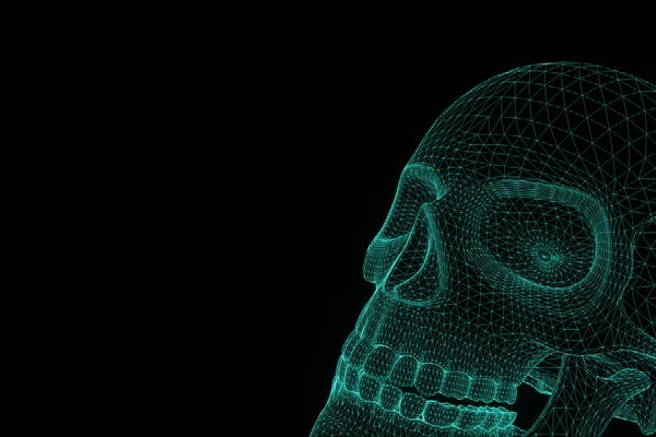 人类的头颅骨三维线框全息在运动。漂亮的 3d 渲染 — 图库照片