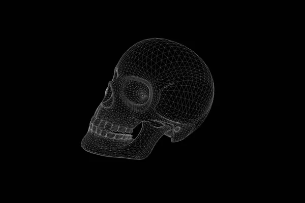 Голограмма человеческого черепа 3D Wireframe в движении. Nice 3D Rendering — стоковое фото