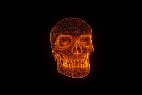 Ologramma del Wireframe del cranio umano 3D in movimento. Rendering 3D piacevole — Foto Stock