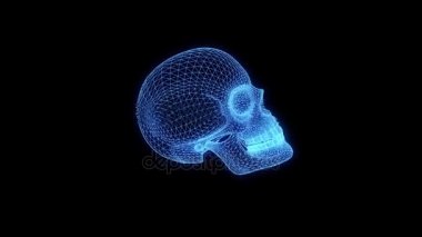 İnsan kafatası 3d Tel Çerçeve hologramı hareket. Güzel 3d render