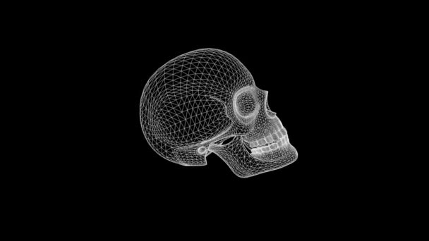 Ologramma del Wireframe del cranio umano 3D in movimento. Rendering 3D piacevole — Video Stock