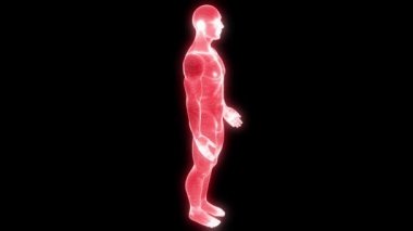 Hareket insan Tel Çerçeve hologramı. Güzel 3d render