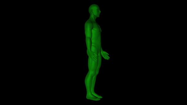 Emberi drótváz Hologram a mozgás. Szép 3D-s renderelés — Stock videók