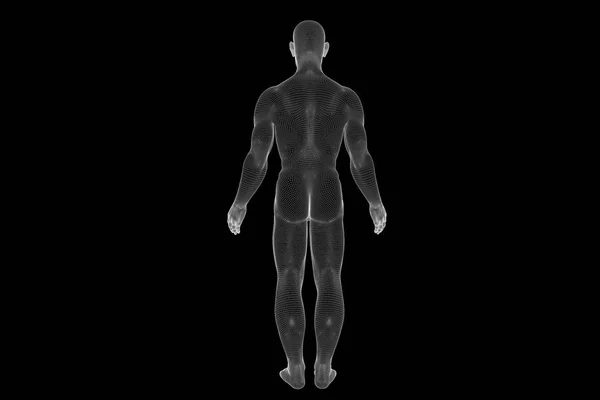 Holograma de Wireframe Humano em Movimento. Boa renderização 3D — Fotografia de Stock