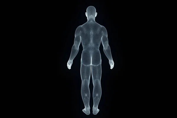 Hareket insan Tel Çerçeve hologramı. Güzel 3d render