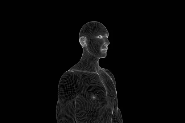 Human Wireframe Hologram in Motion. Nice 3D Rendering — Stock Photo, Image