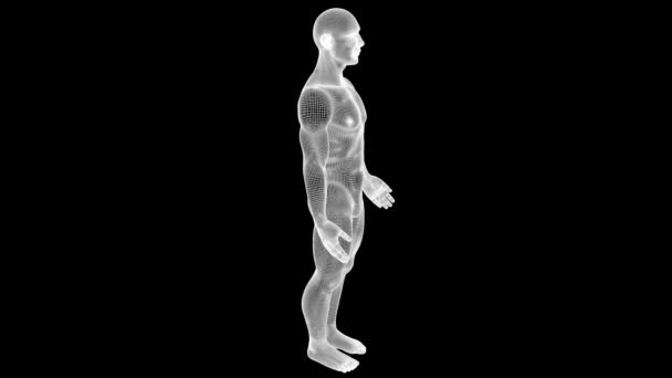 Holograma de Wireframe Humano em Movimento. Boa renderização 3D — Vídeo de Stock