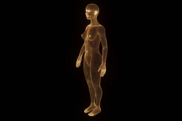 Hologramme filaire humain en mouvement. Belle rendu 3D — Photo