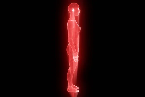 Ludzki szkielet Hologram w ruchu. Ładne renderowania 3d — Zdjęcie stockowe