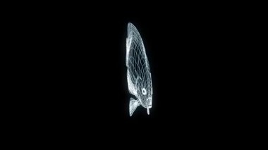 Balık Hologram tel kafes tarzı. Güzel 3d render