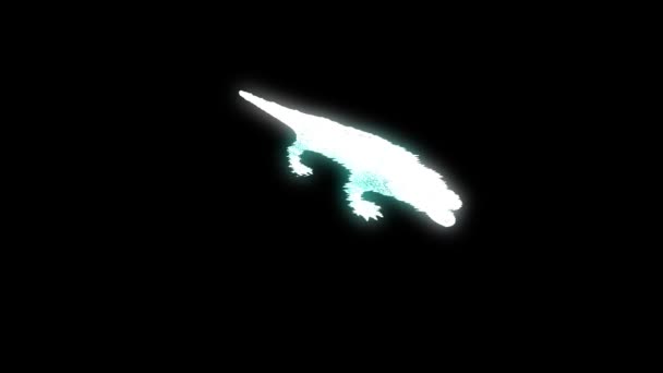 Alligator Hologram Wireframe Stijl Mooie Rendering — Stockvideo