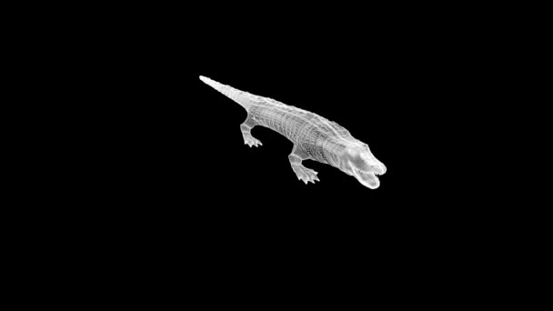 Alligator Hologram Wireframe Stijl Mooie Rendering — Stockvideo