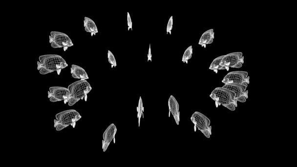 鱼在全息图线框样式 尼斯3D — 图库视频影像