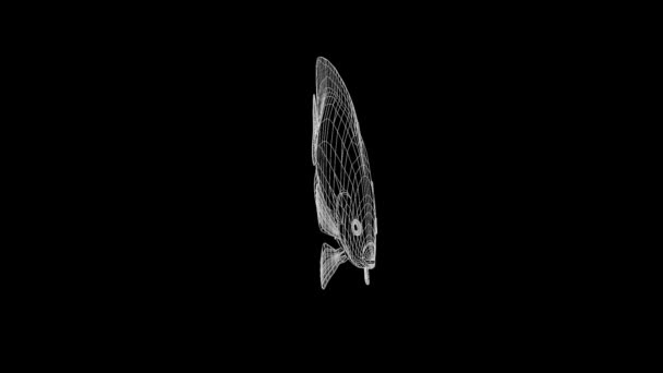 Рыба Стиле Голограммы Wireframe Nice Rendering — стоковое видео