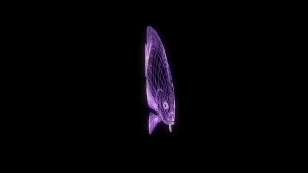 Poisson Dans Style Wireframe Hologramme Belle Rendu — Video