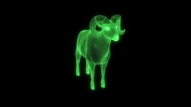 Moutons Montagne Dans Style Wireframe Hologramme Belle Rendu — Video