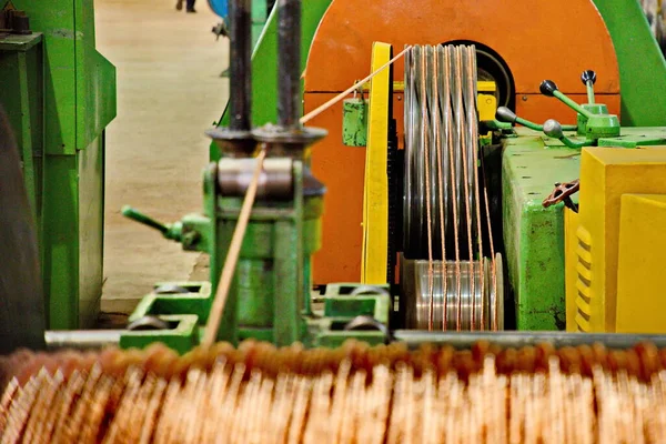 Planta Para Producción Conductora Vivió Torsión — Foto de Stock