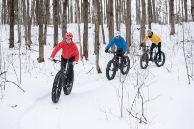 Kanada Ontario 'da şişman bisikletleriyle karda gezen bir grup arkadaş.
