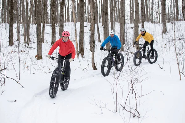 Gruppo di amici in sella alla loro fat bike sulla neve in Ontario, Canada Foto Stock Royalty Free