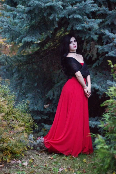 Hermosa bruja en el bosque. Halloween . — Foto de Stock