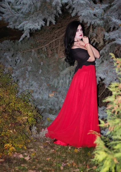 Hermosa bruja en el bosque. Halloween . — Foto de Stock