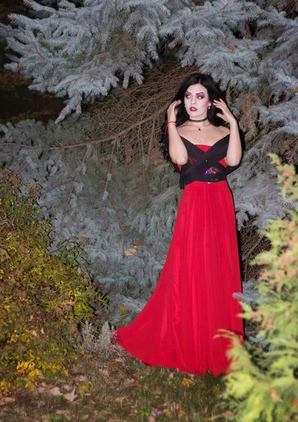 Bruxa bonita na floresta. Halloween. . — Fotografia de Stock