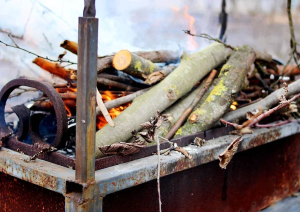 เผาไม้ในบราซิล ไฟไหม้ . — ภาพถ่ายสต็อก