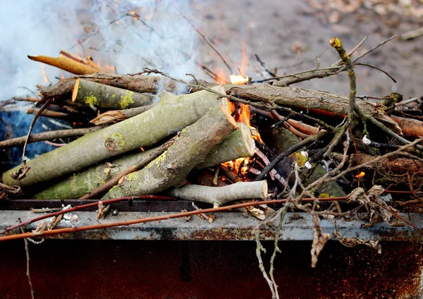 Жжет дрова в жаровне. Пожар . — стоковое фото