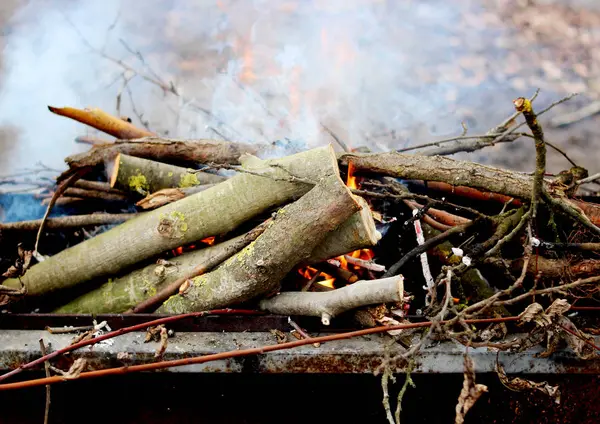 เผาไม้ในบราซิล ไฟไหม้ . — ภาพถ่ายสต็อก