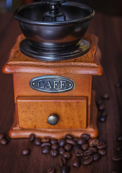 Kopi kacang di penggiling kopi di pohon — Stok Foto