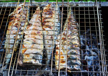 Izgara sulu ızgara balık