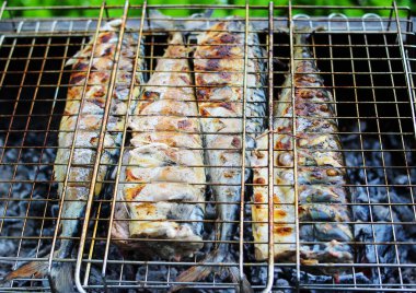 Izgara sulu ızgara balık