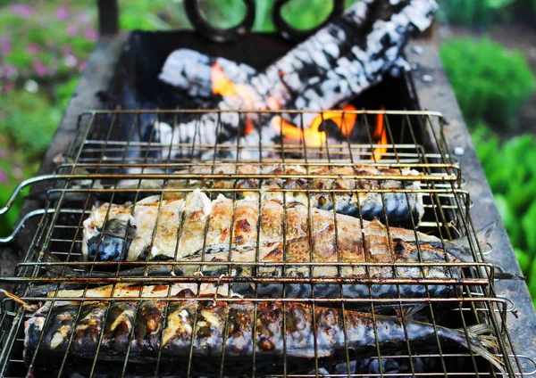 Pesce grigliato succoso alla griglia — Foto Stock