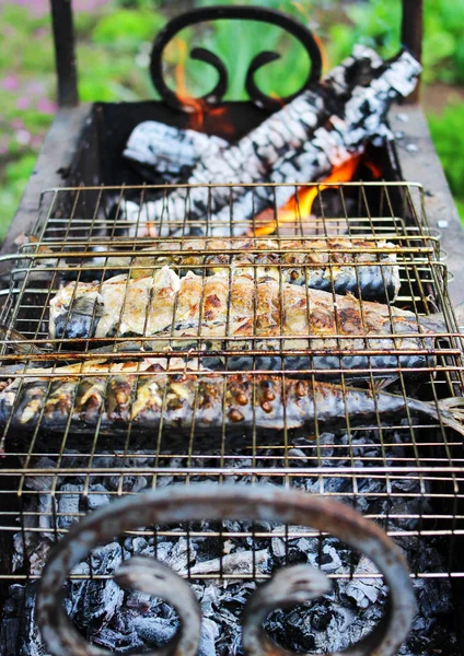 Pesce grigliato succoso alla griglia — Foto Stock