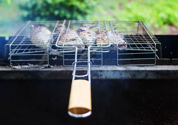 Grilled juicy grilled fish — Stock Photo, Image