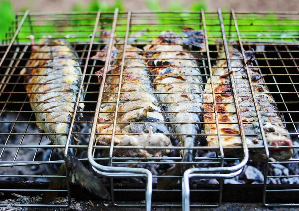 Pesce grigliato succoso alla griglia — Foto Stock