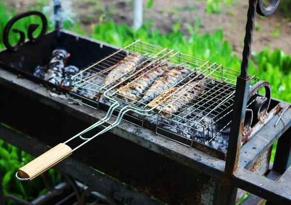 Pescado a la parrilla jugoso asado —  Fotos de Stock