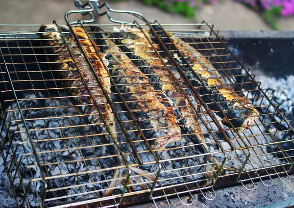 Peixe grelhado suculento grelhado — Fotografia de Stock