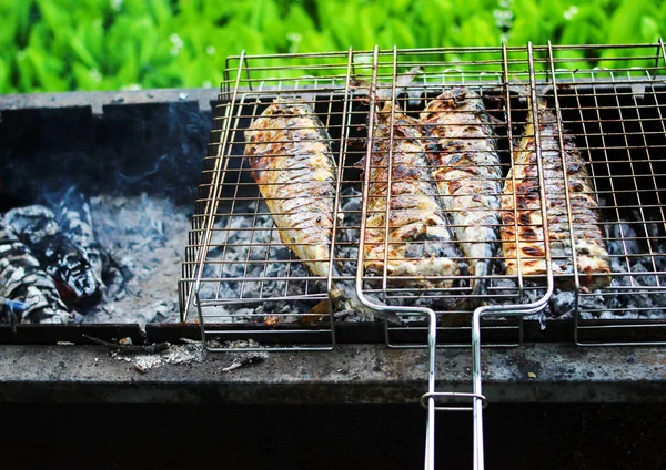 Grilovaná šťavnatá grilovaná ryba — Stock fotografie