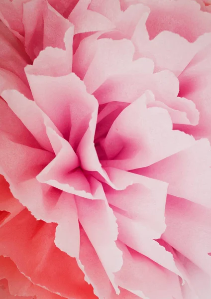 Rosa flor grande papel — Foto de Stock