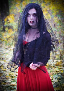 Bir cadı Cadılar Bayramı için görüntü.