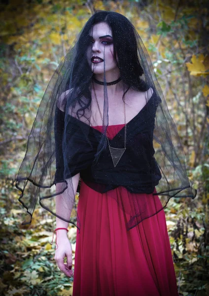 La imagen de una bruja para Halloween . — Foto de Stock