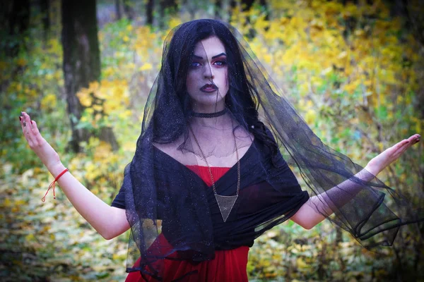 La imagen de una bruja para Halloween . —  Fotos de Stock