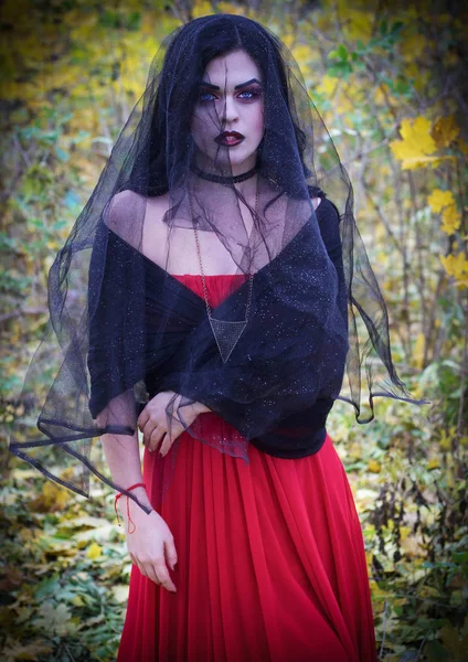 La imagen de una bruja para Halloween . —  Fotos de Stock